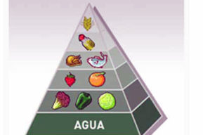 La Dieta Zone