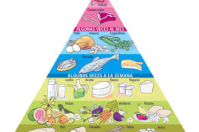 La dieta progresiva