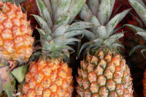 Alimentos que mejoran el ánimo