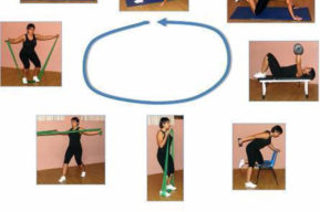 Beneficios del  circuito de entrenamiento