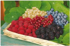 Conoce los beneficios de los “Berries”