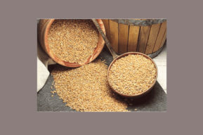 Incluir salvado de trigo y de avena en la dieta