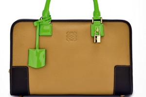 Amazona de Loewe