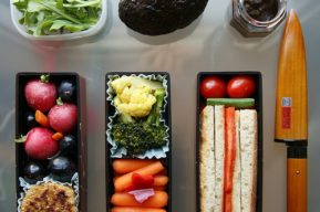 Dieta del Dr. Haas