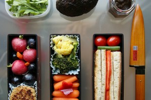 Dieta del Dr. Haas