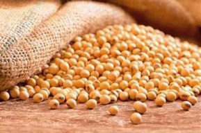 Lecitina de soja para adelgazar