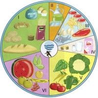 Rueda de los alimentos