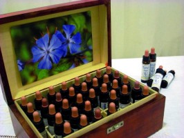 Flores de Bach  para perder peso
