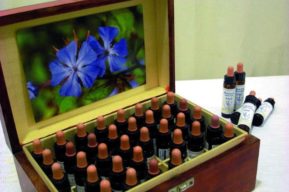 Flores de Bach  para perder peso