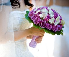 Novias