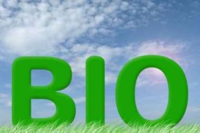 Conoce la moda de la alimentación bio
