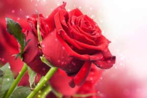 8 regalos que puedes hacerte a ti misma en el Día de la Madre