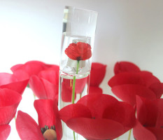 flower_kenzo