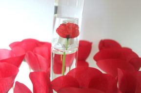 Flower by Kenzo