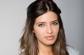 Claves del éxito del blog de Sara Carbonero