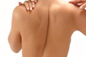 Un programa de alimentación para eliminar los michelines de la espalda