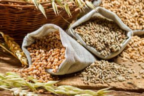 La importancia de las fibras alimenticias