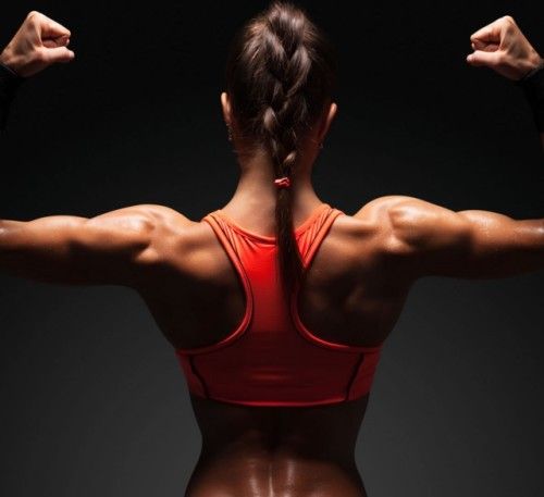 Ejercicios de musculación