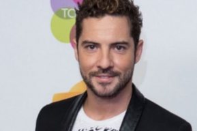 David Bisbal, ¿nuevamente enamorado?