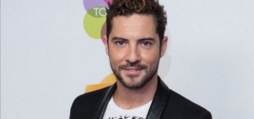 David Bisbal, nuevamente enamorado