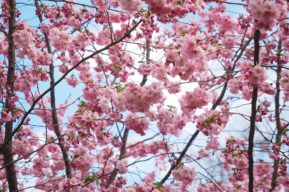 Diez consejos de autoestima para esta primavera
