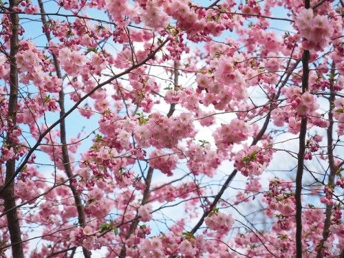 Diez consejos de autoestima para esta primavera Diez consejos de autoestima para esta primavera
