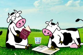 Yogures ecológicos para comer más sano