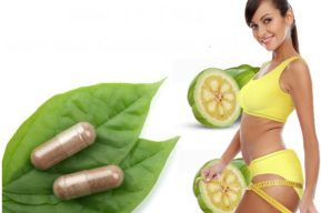 Garcinia Cambogia supresor del apetito natural