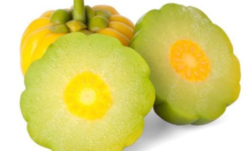 garcinia cambogia fruta