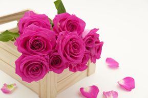 Cómo elegir tu regalo para el Día de la Madre