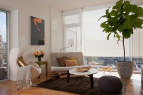 Cómo ubicar las plantas según el Feng Shui