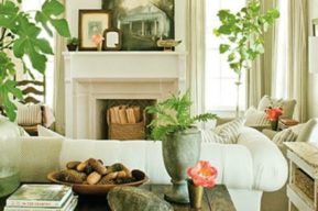 10 Plantas de interior fáciles de cuidar