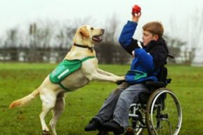 Terapia con animales ayuda a niños con enfermedades