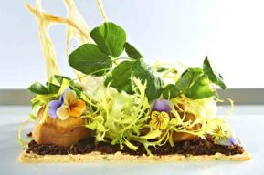¿Qué es la Dieta Ecointeligente?
